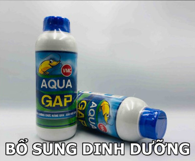 Hóa Chất Nuôi Trồng Thủy Sản Aqua Gap