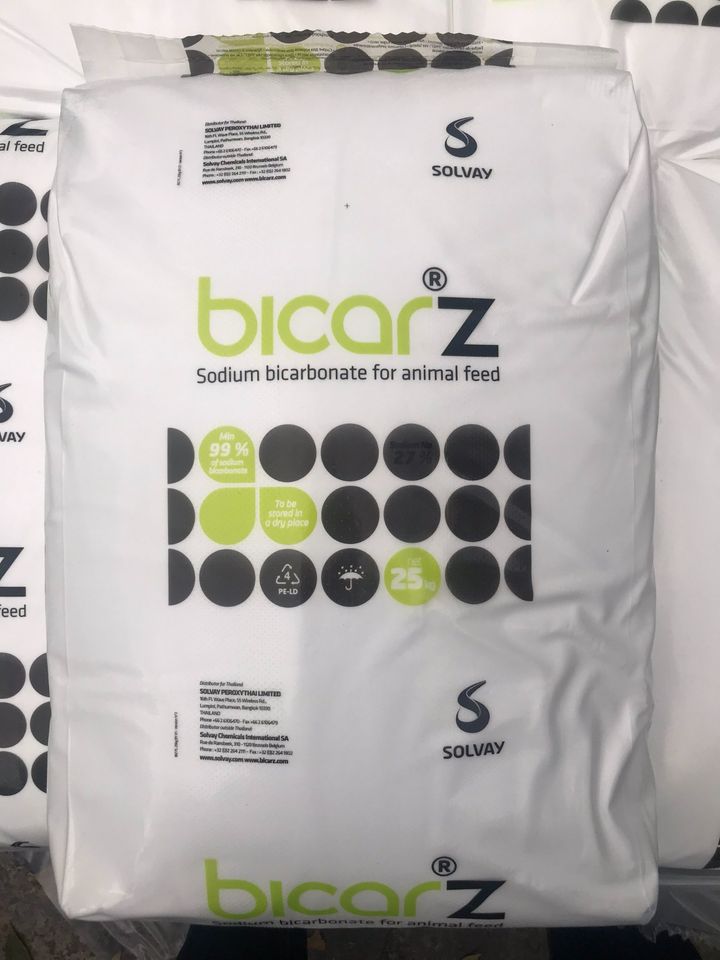 SODIUM BICARBONATE – BICAR Z 