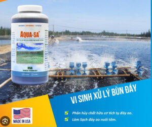 Vi Sinh Xử Lý Bùn Đáy Aqua Sa